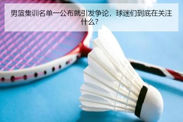 男篮集训名单一公布就引发争论，球迷们到底在关注什么？ - leyu